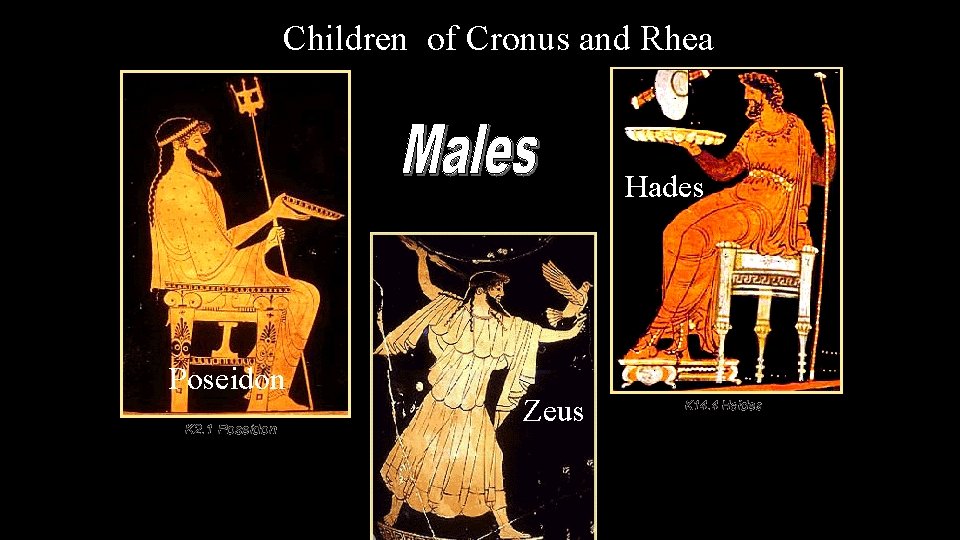 Children of Cronus and Rhea Hades Poseidon Zeus 