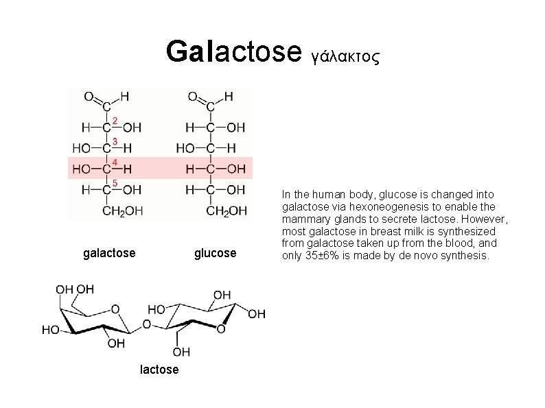 Galactose γάλακτος galactose glucose lactose In the human body, glucose is changed into galactose