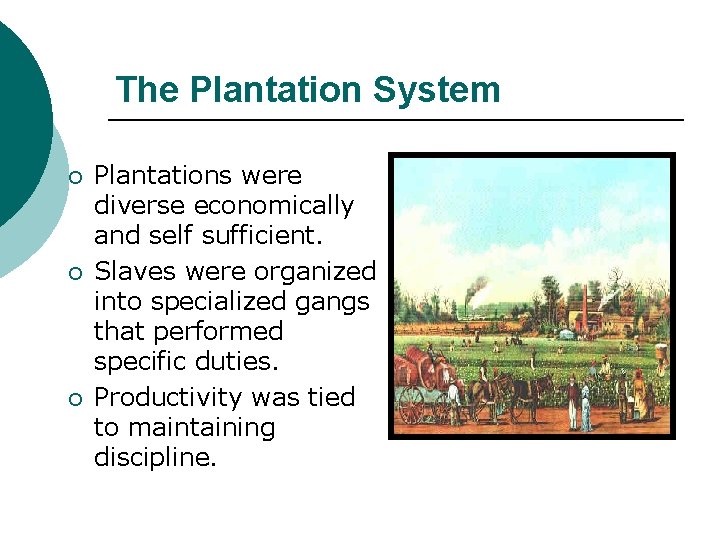 The Plantation System ¡ ¡ ¡ Plantations were diverse economically and self sufficient. Slaves