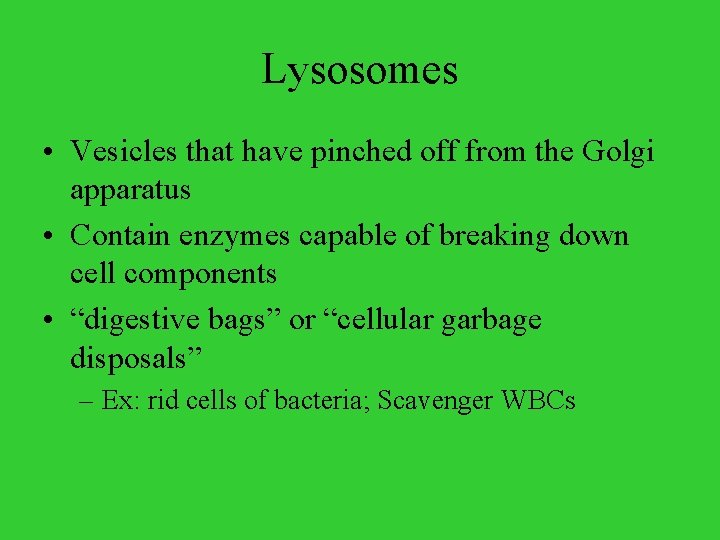 Lysosomes • Vesicles that have pinched off from the Golgi apparatus • Contain enzymes