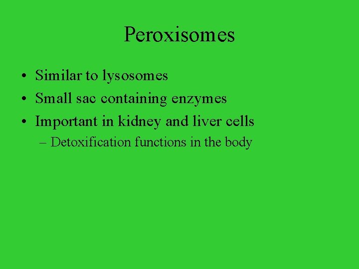 Peroxisomes • Similar to lysosomes • Small sac containing enzymes • Important in kidney