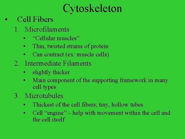 Cytoskeleton • Cell Fibers 1. Microfilaments • • • “Cellular muscles” Thin, twisted strains