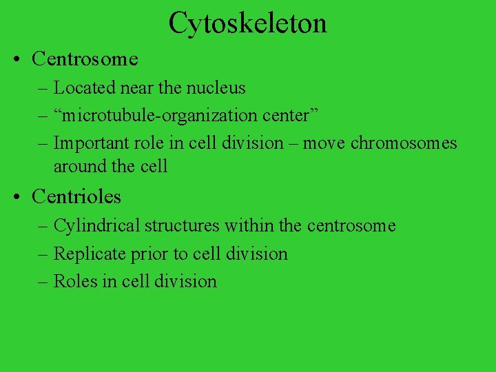 Cytoskeleton • Centrosome – Located near the nucleus – “microtubule-organization center” – Important role