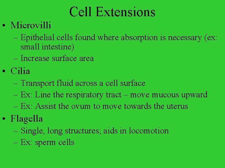 Cell Extensions • Microvilli – Epithelial cells found where absorption is necessary (ex: small