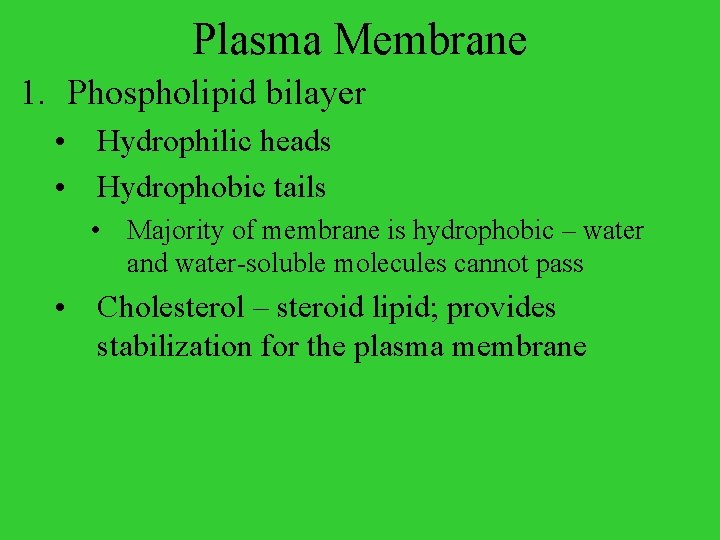 Plasma Membrane 1. Phospholipid bilayer • Hydrophilic heads • Hydrophobic tails • Majority of