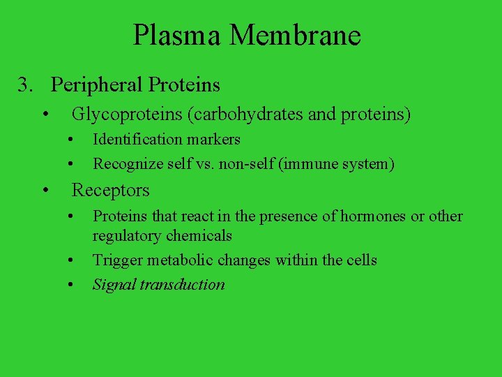 Plasma Membrane 3. Peripheral Proteins • Glycoproteins (carbohydrates and proteins) • • • Identification