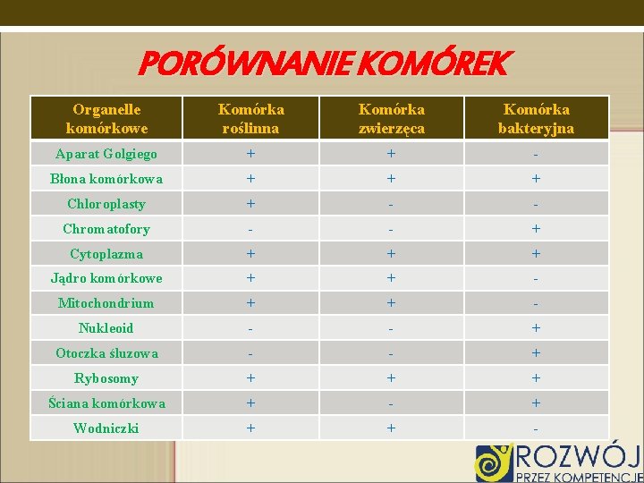 PORÓWNANIE KOMÓREK Organelle komórkowe Komórka roślinna Komórka zwierzęca Komórka bakteryjna Aparat Golgiego + +