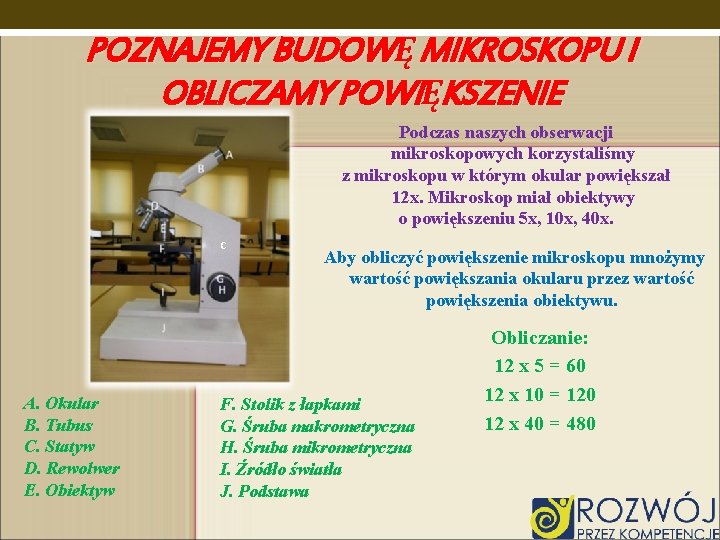 POZNAJEMY BUDOWĘ MIKROSKOPU I OBLICZAMY POWIĘKSZENIE Podczas naszych obserwacji mikroskopowych korzystaliśmy z mikroskopu w