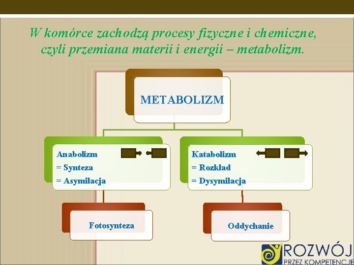 W komórce zachodzą procesy fizyczne i chemiczne, czyli przemiana materii i energii – metabolizm.