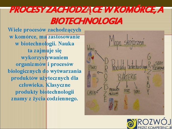 PROCESY ZACHODZĄCE W KOMÓRCE, A BIOTECHNOLOGIA Wiele procesów zachodzących w komórce, ma zastosowanie w