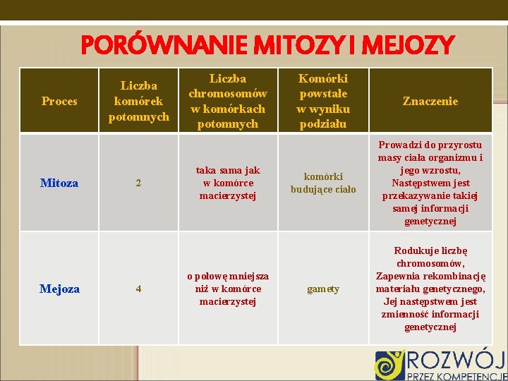 PORÓWNANIE MITOZY I MEJOZY Proces Mitoza Mejoza Liczba komórek potomnych 2 4 Liczba chromosomów