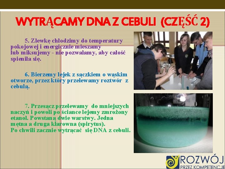 WYTRĄCAMY DNA Z CEBULI (CZĘŚĆ 2) 5. Zlewkę chłodzimy do temperatury pokojowej i energicznie