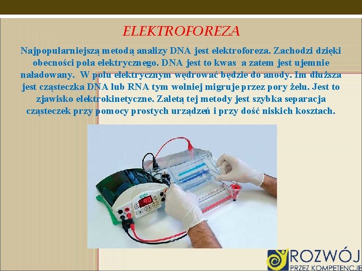 ELEKTROFOREZA Najpopularniejszą metodą analizy DNA jest elektroforeza. Zachodzi dzięki obecności pola elektrycznego. DNA jest