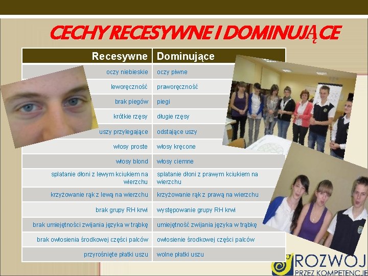 CECHY RECESYWNE I DOMINUJĄCE Recesywne Dominujące oczy niebieskie leworęczność oczy piwne praworęczność brak piegów CECHY RECESYWNE I DOMINUJĄCE Recesywne Dominujące oczy niebieskie leworęczność oczy piwne praworęczność brak piegów