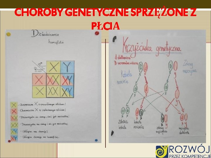 CHOROBY GENETYCZNE SPRZĘŻONE Z PŁCIĄ CHOROBY GENETYCZNE SPRZĘŻONE Z PŁCIĄ