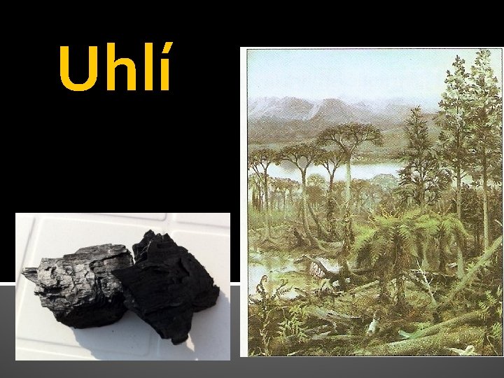 Uhlí 