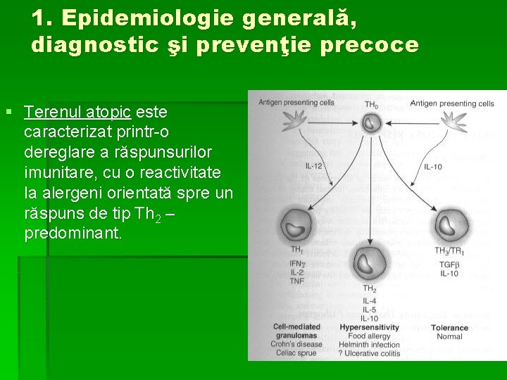 1. Epidemiologie generală, diagnostic şi prevenţie precoce § Terenul atopic este caracterizat printr-o dereglare