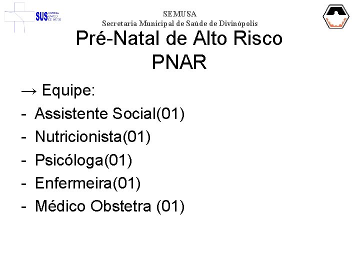 SEMUSA Secretaria Municipal de Saúde de Divinópolis Pré-Natal de Alto Risco PNAR → Equipe: