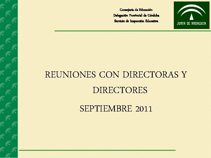 Consejería de Educación Delegación Provincial de Córdoba Servicio de Inspección Educativa REUNIONES CON DIRECTORAS