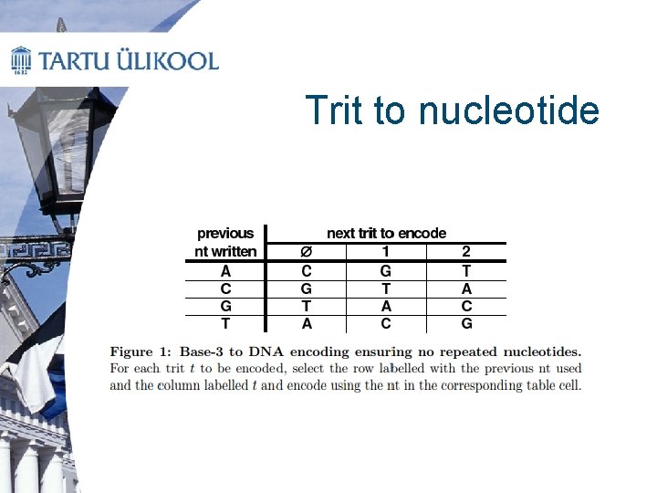 Trit to nucleotide 
