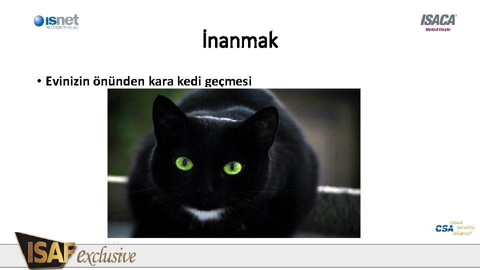 İnanmak • Evinizin önünden kara kedi geçmesi İnanmak • Evinizin önünden kara kedi geçmesi