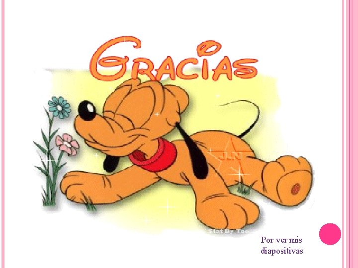 Por ver mis diapositivas 