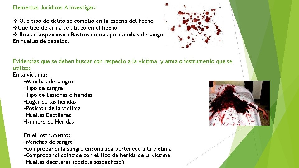Elementos Jurídicos A Investigar: v Que tipo de delito se cometió en la escena