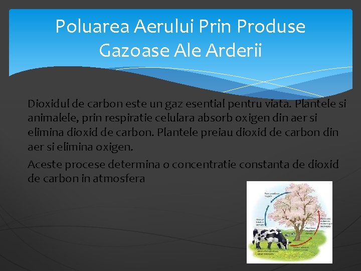 Poluarea Aerului Prin Produse Gazoase Ale Arderii Dioxidul de carbon este un gaz esential