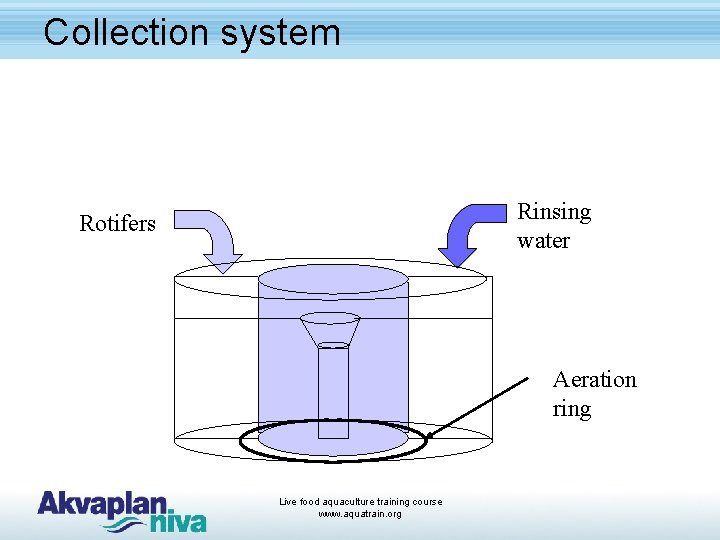 Collection system Rinsing water Rotifers Aeration ring Live food aquaculture training course www. aquatrain.