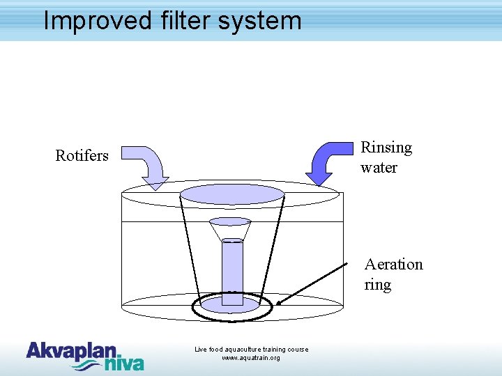 Improved filter system Rinsing water Rotifers Aeration ring Live food aquaculture training course www.