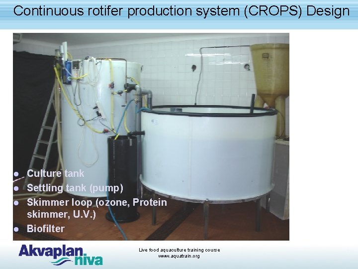 Continuous rotifer production system (CROPS) Design Culture tank l Settling tank (pump) l Skimmer