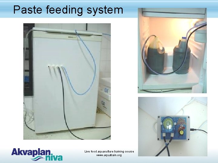 Paste feeding system Live food aquaculture training course www. aquatrain. org 