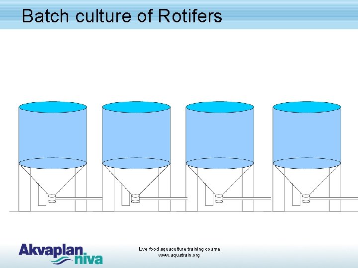 Batch culture of Rotifers Live food aquaculture training course www. aquatrain. org 