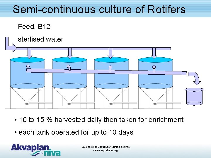 Semi-continuous culture of Rotifers Feed, B 12 sterlised water • 10 to 15 %