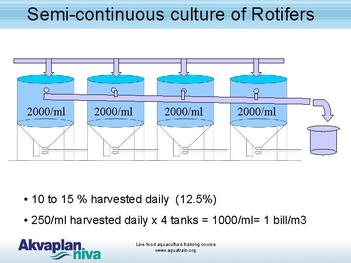 Semi-continuous culture of Rotifers 2000/ml • 10 to 15 % harvested daily (12. 5%)