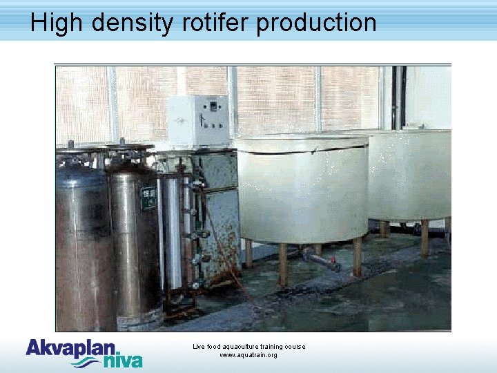 High density rotifer production Live food aquaculture training course www. aquatrain. org 