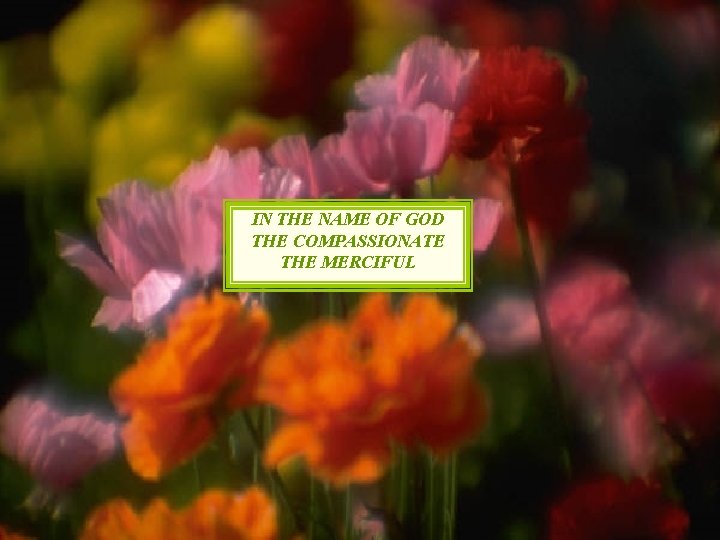 IN THE NAME OF GOD THE COMPASSIONATE THE MERCIFUL 