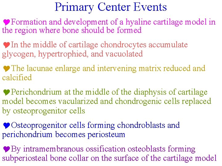 Primary Center Events YFormation and development of a hyaline cartilage model in the region