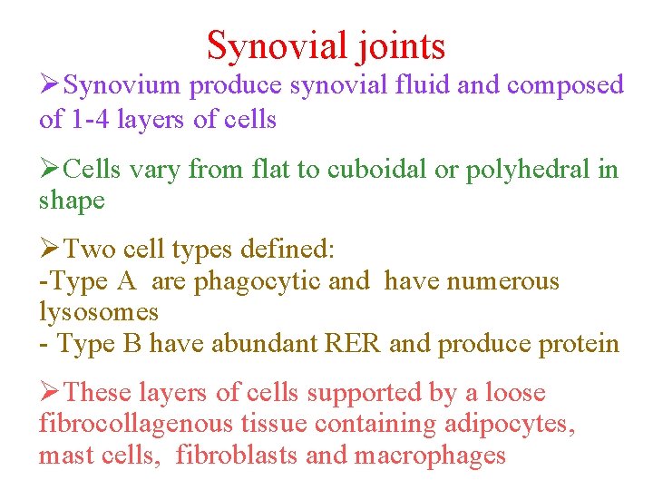 Synovial joints ØSynovium produce synovial fluid and composed of 1 -4 layers of cells