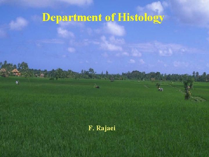 Department of Histology F. Rajaei 