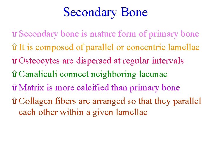 Secondary Bone ñSecondary bone is mature form of primary bone ñIt is composed of