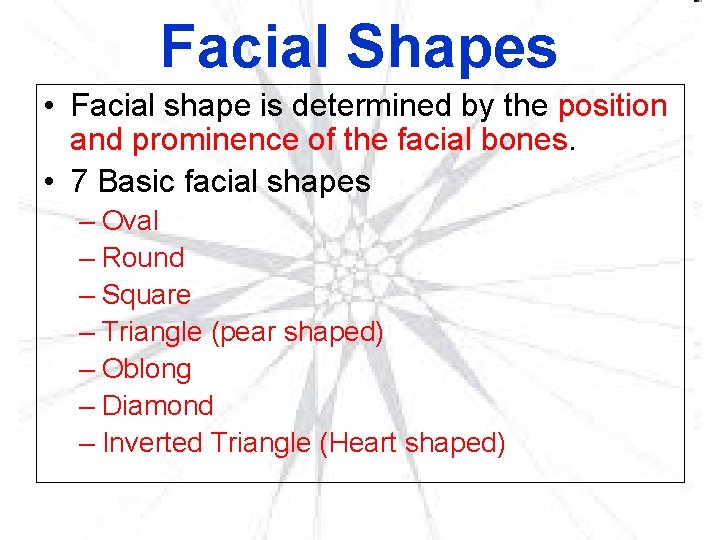 Facial Shapes • Facial shape is determined by the position and prominence of the