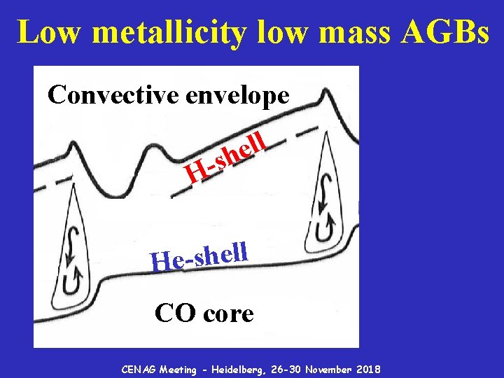 Low metallicity low mass AGBs Convective envelope l l e sh H- l l