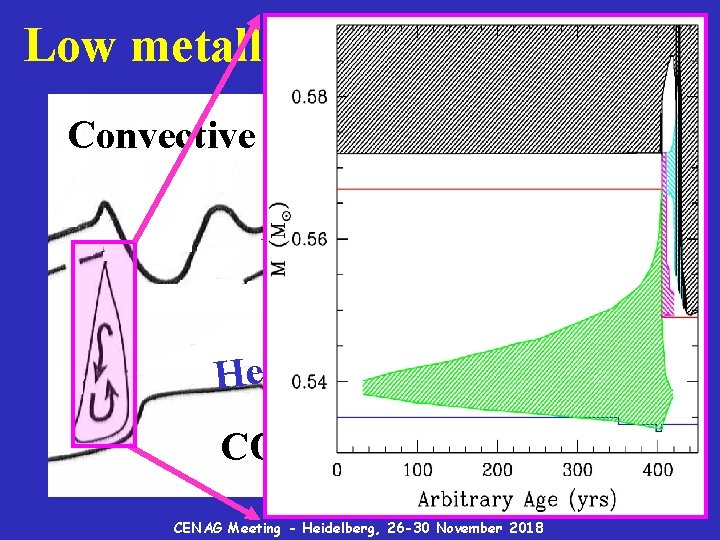 Low metallicity low mass AGBs Convective envelope l l e sh H- l l