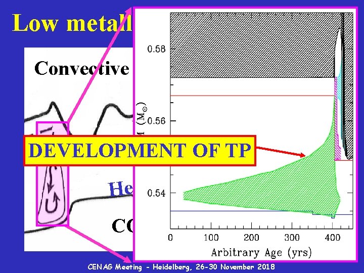 Low metallicity low mass AGBs Convective envelope l l e sh HDEVELOPMENT OF TP