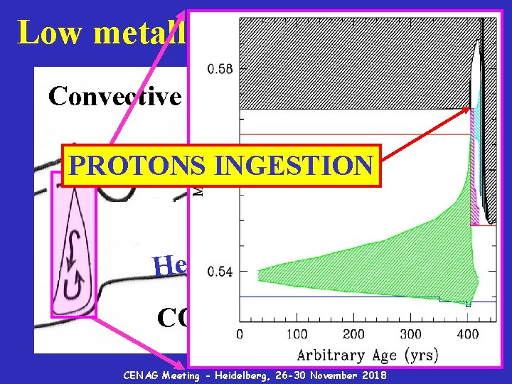 Low metallicity low mass AGBs Convective envelope l l e h s PROTONS INGESTION