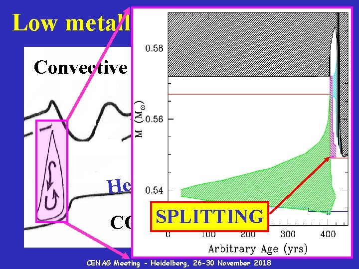 Low metallicity low mass AGBs Convective envelope l l e sh H- l l