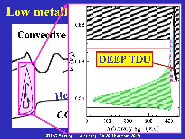 Low metallicity low mass AGBs Convective envelope l l e sh DEEP TDU H-