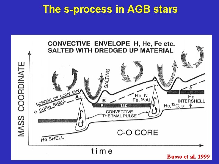 The s-process in AGB stars Busso et al. 1999 