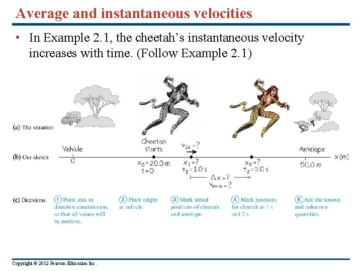 Average and instantaneous velocities • In Example 2. 1, the cheetah’s instantaneous velocity increases